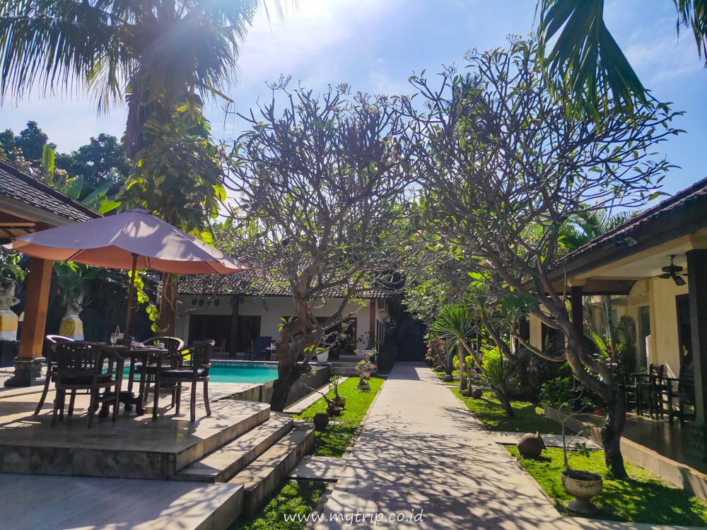 Hotel Di Lovina Yang Ada Lumba Lumba Hotel Di Lovina Yang Ada Lumba Lumba